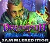 Download Dreampath: Wächter des Waldes Sammleredition game