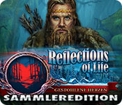 Download Reflections of Life: Gestohlene Herzen Sammleredition game