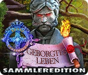 Download Royal Detective: Geborgtes Leben Sammleredition game