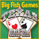 Download Big Fish Games Texas Hold'Em game