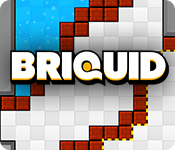 Download Briquid game