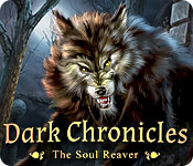 Download Dark Chronicles: The Soul Reaver game