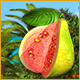 Download Dream Fruit Farm: Paradise Island game