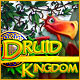 Download Druid Kingdom game
