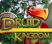 Download Druid Kingdom game