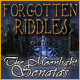 Download Forgotten Riddles: The Moonlight Sonatas game