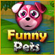 Download Funny Pets game