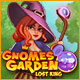 Download Gnomes Garden: Lost King game