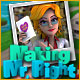 Download Making Mr. Right game