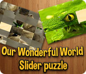 Download Our Wonderful World game