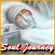Download Soul Journey game