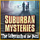 Download Suburban Mysteries: The Labyrinth of the Past game