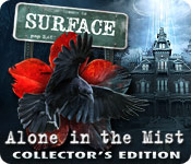 Download Surface: Alone in the Mist Collector's Edition game