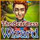 Download The Beardless Wizard game