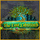 Download The Lost Labyrinth game