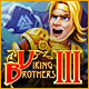 Download Viking Brothers 3 game