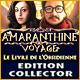 Download Amaranthine Voyage: Le Livre de l'Obsidienne Edition Collector game