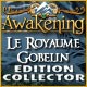 Download Awakening: Le Royaume Gobelin Edition Collector game