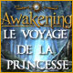 Download Awakening: Le Voyage de la Princesse game