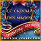 Download Christmas Stories: Le Cadeau des Mages Édition Collector game