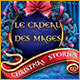 Download Christmas Stories: Le Cadeau des Mages game