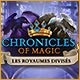 Download Chronicles of Magic: Les Royaumes Divisés game