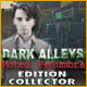 Download Dark Alleys: Motel Penumbra Edition Collector game