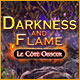 Download Darkness and Flame: Le Côté Obscur game