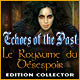 Download Echoes of the Past: Le Royaume du Désespoir Edition Collector game