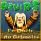 Download Druid's: En Quête du Grimoire game