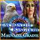 Download Enchanted Kingdom: Mauvaise Graine game