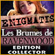 Download Enigmatis: Les Brumes de Ravenwood Edition Collector game