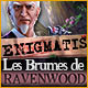 Download Enigmatis: Les Brumes de Ravenwood game