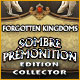 Download Forgotten Kingdoms: Sombre Prémonition Edition Collector game