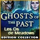 Download Ghosts of the Past: Les Os de Meadows Edition Collector game