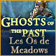 Download Ghosts of the Past: Les Os de Meadows game