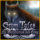 Download Grim Tales: La Malédiction des Gray game