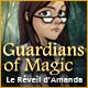 Download Guardians of Magic: Le Réveil d'Amanda game