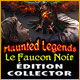 Download Haunted Legends: Le Faucon Noir Édition Collector game