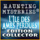 Download Haunting Mysteries: L'Ile des Ames Perdues Edition Collector game