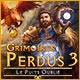 Download Lost Grimoires 3: Le Puits Oublié game