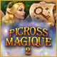 Download Picross Magique 2 game