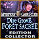 Download Mystery Case Files: Dire Grove, Forêt Sacrée Edition Collector game