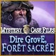 Download Mystery Case Files: Dire Grove, Forêt Sacrée game