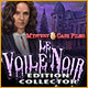 Download Mystery Case Files: Le Voile Noir Édition Collector game