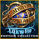 Download Mystery Tales: L'Œil du Feu Édition Collector game