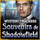 Download Mystery Trackers: Souvenirs de Shadowfield game