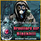 Download Mystery Trackers Brouillard sur Blackhill Édition Collector game