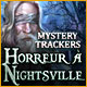 Download Mystery Trackers: Horreur à Nightsville game