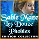 Download Sable Maze: Les Douze Phobies Edition Collector game